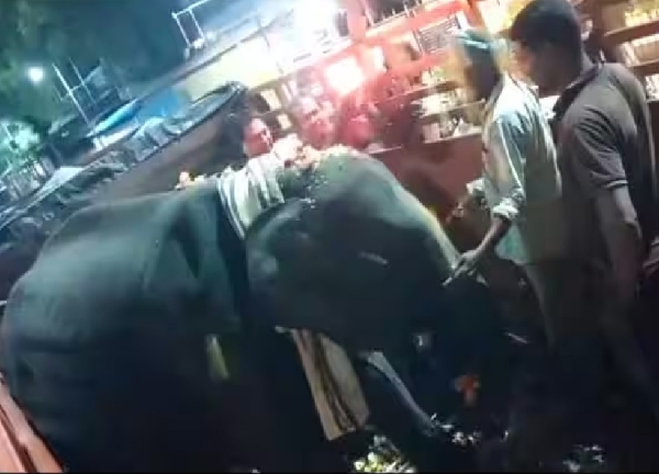 மதுரை மீனாட்சி அம்மன் கோயிலுக்கு அசாமிலிருந்து வந்த 5 வயது பெண் யானை துர்காவுக்கு உற்சாக வரவேற்பு மதுரை மீனாட்சி அம்மன் கோயிலுக்கு அசாமிலிருந்து வந்த 5 வயது பெண் யானை துர்காவுக்கு உற்சாக வரவேற்பு
