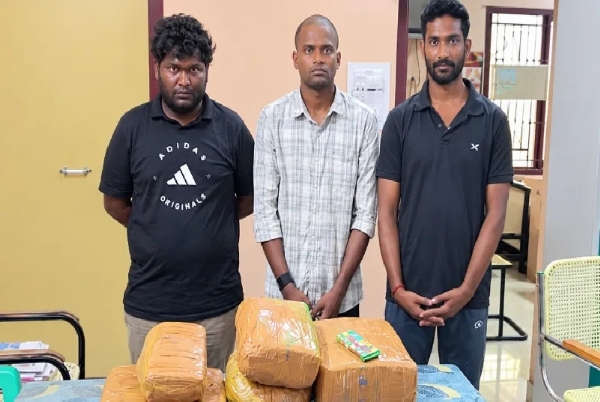 14 kg of Ganja seized in Thoothukudi – 3 youths arrested. 14 kg of Ganja seized in Thoothukudi – 3 youths arrested.