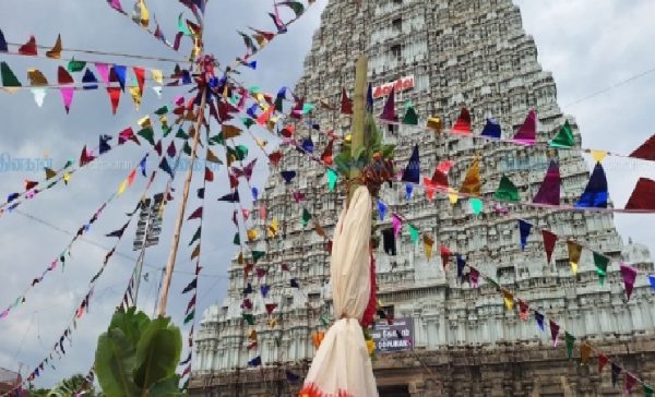 கார்த்திகை தீபத் திருவிழாவின் தொடக்கமாக பந்தக்கால் நடும் வைபவம் விமரிசை கார்த்திகை தீபத் திருவிழாவின் தொடக்கமாக பந்தக்கால் நடும் வைபவம் விமரிசை