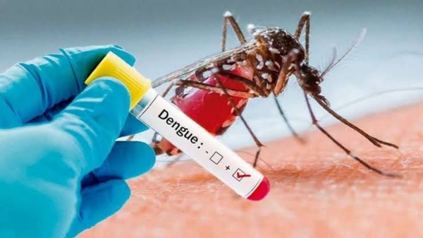 Dengue Dengue
