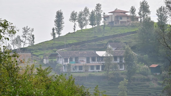 Nilg