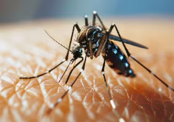 Dengue outbreak intensifies in Tamil Nadu. Dengue outbreak intensifies in Tamil Nadu.