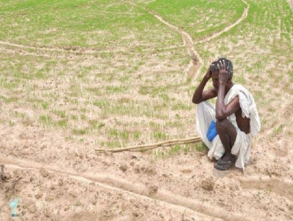 தமிழகத்திற்கான காவிரி நீரை முற்றிலுமாக நிறுத்தியது கர்நாடகா - டெல்டா விவசாயிகள் கடும் அதிர்ச்சி தமிழகத்திற்கான காவிரி நீரை முற்றிலுமாக நிறுத்தியது கர்நாடகா - டெல்டா விவசாயிகள் கடும் அதிர்ச்சி