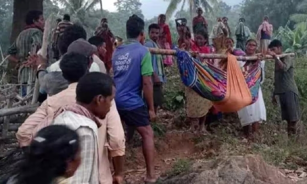 வயிற்று வலியால் துடித்த பெண்ணை 7 கிலோமீட்டர் டோலி கட்டி தூக்கிச் சென்ற அவலம்