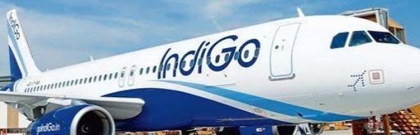 indigo flights at rajkot indigo flights at rajkot