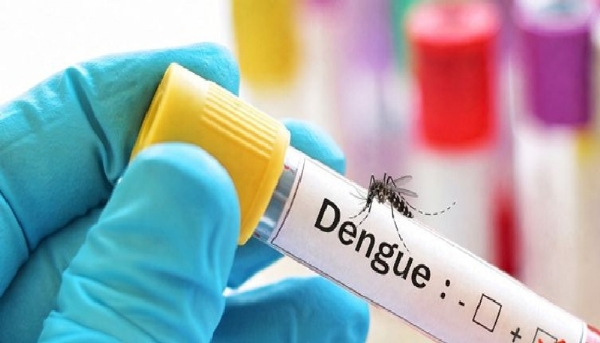Severe spread of Dengue fever in Tamil Nadu Severe spread of Dengue fever in Tamil Nadu